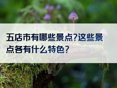 五店市有哪些景点？这些景点各有什么特色？