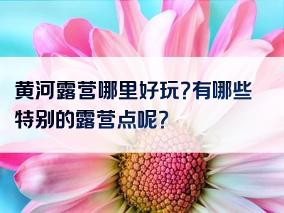 黄河露营哪里好玩？有哪些特别的露营点呢？