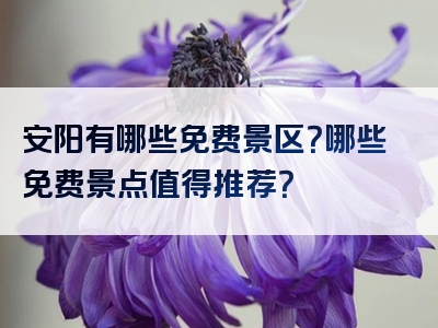 安阳有哪些免费景区？哪些免费景点值得推荐？