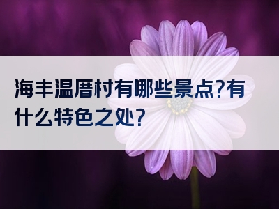 海丰温厝村有哪些景点？有什么特色之处？