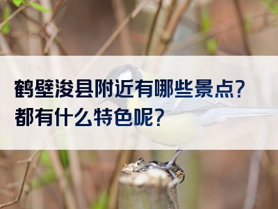 鹤壁浚县附近有哪些景点？都有什么特色呢？