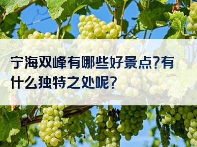 宁海双峰有哪些好景点？有什么独特之处呢？