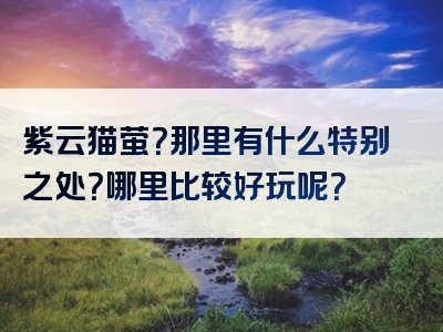 紫云猫萤？那里有什么特别之处？哪里比较好玩呢？