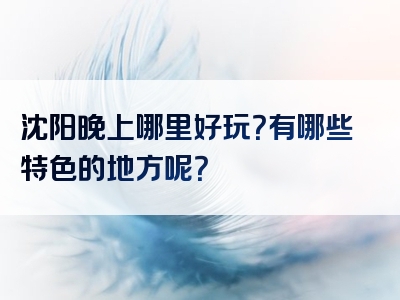 沈阳晚上哪里好玩？有哪些特色的地方呢？