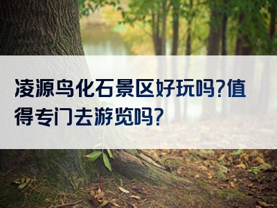 凌源鸟化石景区好玩吗？值得专门去游览吗？