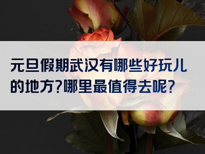 元旦假期武汉有哪些好玩儿的地方？哪里最值得去呢？