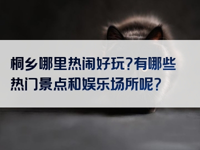 桐乡哪里热闹好玩？有哪些热门景点和娱乐场所呢？