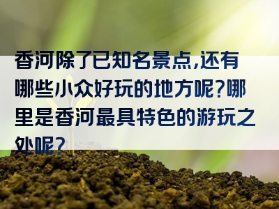 香河除了已知名景点，还有哪些小众好玩的地方呢？哪里是香河最具特色的游玩之处呢？