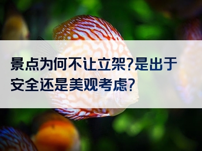景点为何不让立架？是出于安全还是美观考虑？