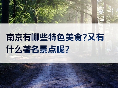 南京有哪些特色美食？又有什么著名景点呢？