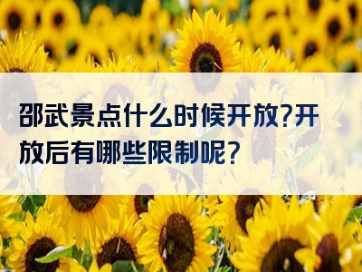 邵武景点什么时候开放？开放后有哪些限制呢？