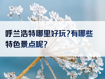 呼兰浩特哪里好玩？有哪些特色景点呢？