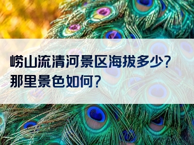崂山流清河景区海拔多少？那里景色如何？
