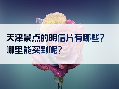 天津景点的明信片有哪些？哪里能买到呢？