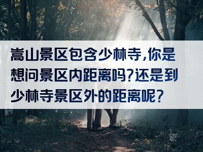 嵩山景区包含少林寺，你是想问景区内距离吗？还是到少林寺景区外的距离呢？