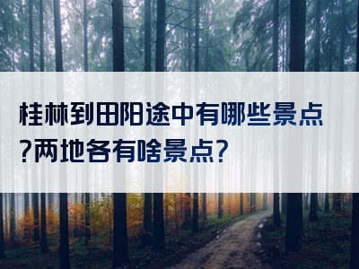 桂林到田阳途中有哪些景点？两地各有啥景点？