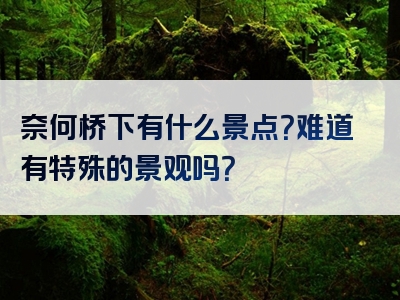 奈何桥下有什么景点？难道有特殊的景观吗？