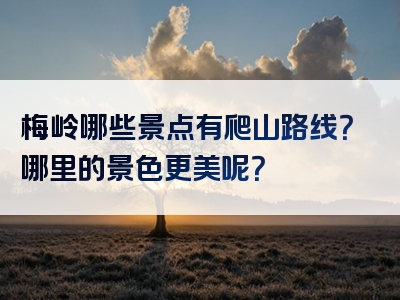 梅岭哪些景点有爬山路线？哪里的景色更美呢？