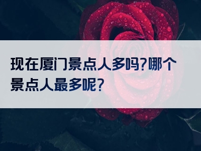 现在厦门景点人多吗？哪个景点人最多呢？