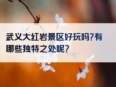 武义大红岩景区好玩吗？有哪些独特之处呢？