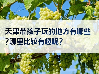 天津带孩子玩的地方有哪些？哪里比较有趣呢？