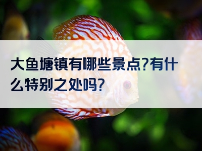 大鱼塘镇有哪些景点？有什么特别之处吗？