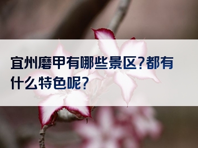 宜州磨甲有哪些景区？都有什么特色呢？