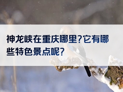 神龙峡在重庆哪里？它有哪些特色景点呢？
