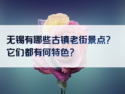 无锡有哪些古镇老街景点？它们都有何特色？