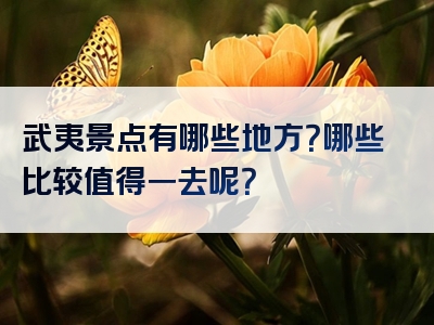 武夷景点有哪些地方？哪些比较值得一去呢？