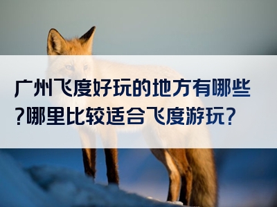 广州飞度好玩的地方有哪些？哪里比较适合飞度游玩？