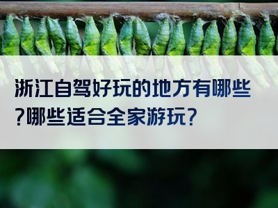 浙江自驾好玩的地方有哪些？哪些适合全家游玩？