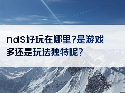 nds好玩在哪里？是游戏多还是玩法独特呢？