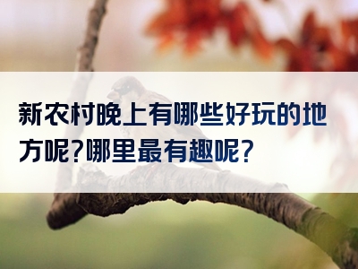 新农村晚上有哪些好玩的地方呢？哪里最有趣呢？