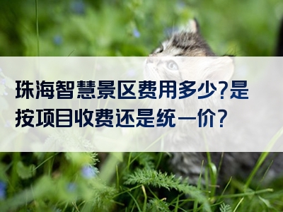 珠海智慧景区费用多少？是按项目收费还是统一价？