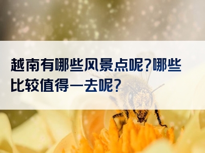 越南有哪些风景点呢？哪些比较值得一去呢？