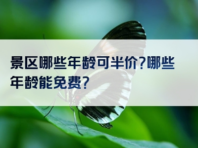 景区哪些年龄可半价？哪些年龄能免费？