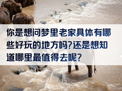 你是想问梦里老家具体有哪些好玩的地方吗？还是想知道哪里最值得去呢？