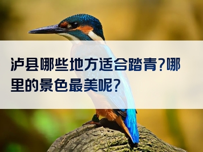 泸县哪些地方适合踏青？哪里的景色最美呢？