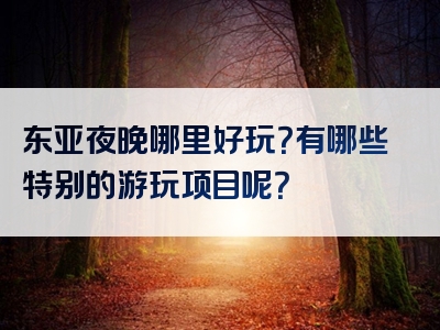 东亚夜晚哪里好玩？有哪些特别的游玩项目呢？
