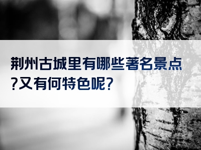 荆州古城里有哪些著名景点？又有何特色呢？