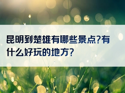 昆明到楚雄有哪些景点？有什么好玩的地方？