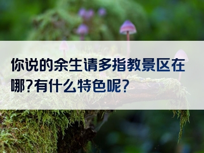 你说的余生请多指教景区在哪？有什么特色呢？