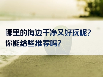 哪里的海边干净又好玩呢？你能给些推荐吗？