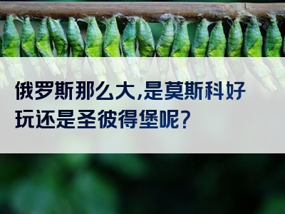 俄罗斯那么大，是莫斯科好玩还是圣彼得堡呢？