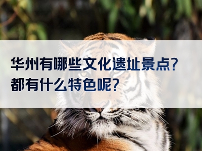 华州有哪些文化遗址景点？都有什么特色呢？