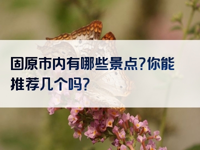 固原市内有哪些景点？你能推荐几个吗？