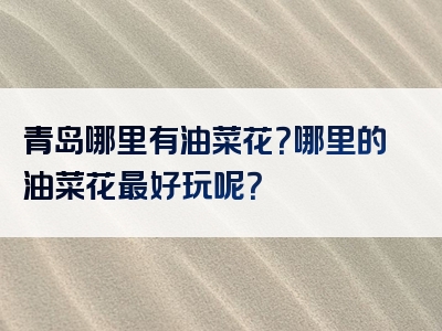 青岛哪里有油菜花？哪里的油菜花最好玩呢？