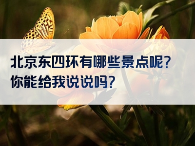 北京东四环有哪些景点呢？你能给我说说吗？