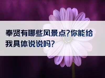 奉贤有哪些风景点？你能给我具体说说吗？